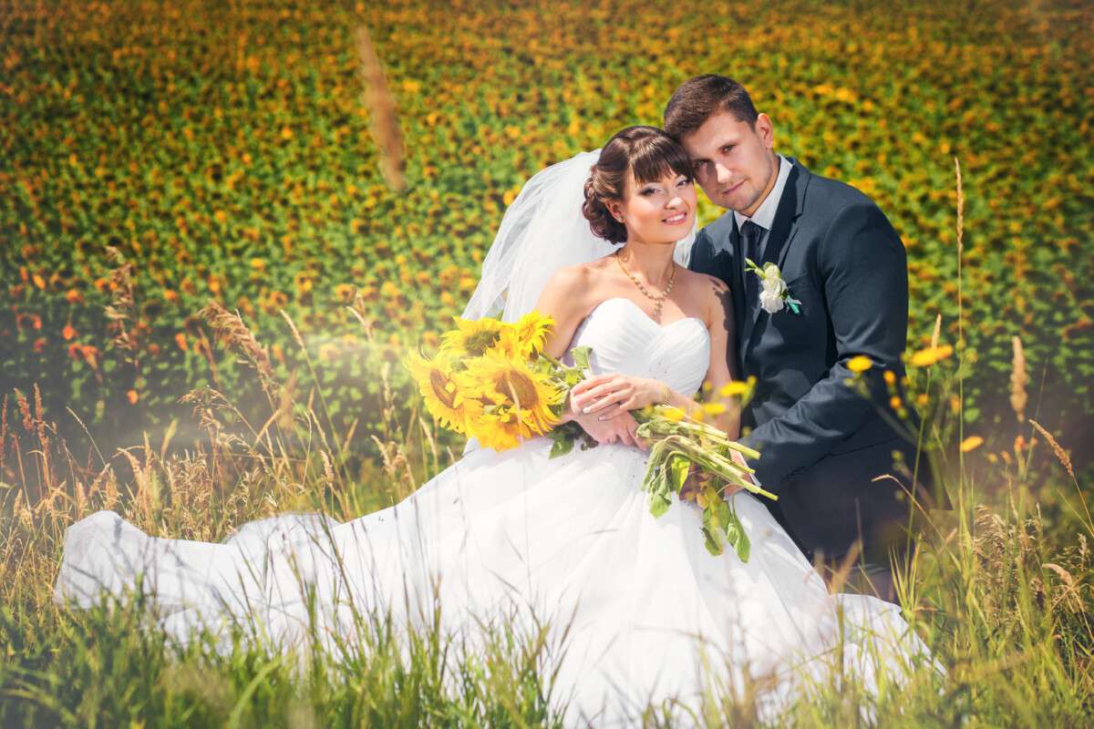 Mariage En Provence Charme Et Photos Dans Un Champs De Tournesols